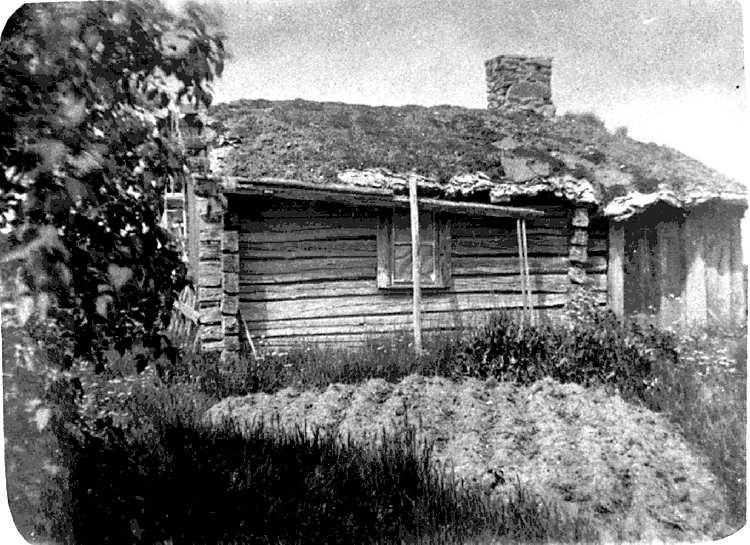 "Lusasken"

Reprofotograf: Gunnar Berggren.