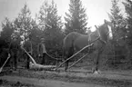 Vägunderhåll mellan Källåsen och Näsmossen 1923.
Artur Karlsson, 
Einar Svan (