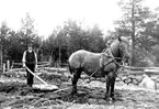 Olle Karlsson (Sjökärret) harvar.

Reprofotograf: Gunnar Berggren.