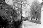 Skara.
Kvarteret Rådhuset.
Rådhusgatan i lövsprickningen år 1928.