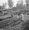 Motocross på Dala-banan, Lundsbrunn, september 1967.