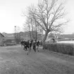 Skara läroverk.
Sången i Botan.
6:2 på språng mot Botan 1965.
Viktoriasjön i bakgrunden.