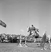 Skara. Hushållningssällskapets Utställning 14-16 juni 1957.