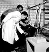 Skara. Veterinärinrättningen. Ko-operation 1958.