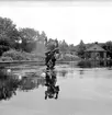 Privata bilder.

Botaniska trädgården i Göteborg.