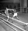 Skara. Boxning, Skara Teater 1950.