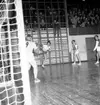 Skara. Handboll 5/12 1954.