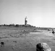 Med Daga och Arne Hansson på Öland. Långe Jan.

Långe Jan, angöringsfyr på Ölands södra udde. Det 42Â m höga fyrtornet ger huvudfyren en lysvidd på 48Â km. Det vita tornet har ett svart bälte för att underlätta igenkänning under dagtid. Fyrtornet uppfördes ursprungligen 1785 då man förmodligen använde material från det raserade medeltida kapellet Sankt Johannes (Jan). http://www.ne.se/jsp/search/article.jsp?i_art_id=246789