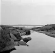 Familjen Olle Sahlström på kusten, Ulebergshamn 1965.