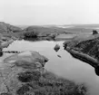 Familjen Olle Sahlström på kusten, Ulebergshamn 1965.