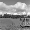 Flämslätts stiftsgård. 
Sommarbild 1955.