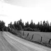 Flämslätts stiftsgård. 
Sommarbild 1955.