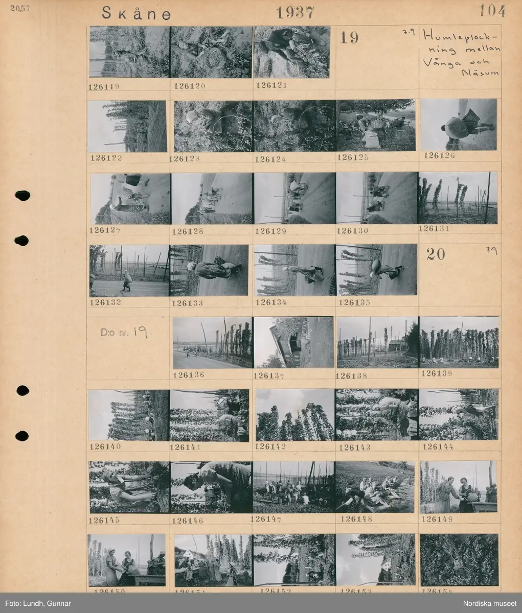 Motiv: Skåne, Humleplockning i Vångatrakten, bortom Vånga;
En man arbetar med humlestörar, en kvinna plockar humle.

Motiv: Skåne, Humleplockning mellan Vånga och Näsum;
Vy över humleodling, en kvinna plockar humle, kvinnor vid cyklar med korgar och säckar, humlestörar, kvinnor sitter på marken och äter, en kvinna häller upp kaffe i en humleodling.