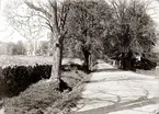 Allé vid landsvägen, till vänster syns Säters kyrka.