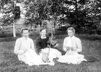 TVÅ KVINNOR SITTER I GRÄSET OCH BRODERAR OCH EN SPELAR FIOL.

Foto: juli 1910.