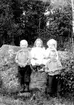 Exteriör. Axel, Florence, Gunhild och Arthur Olsson, Blekviken, Amnehärad.



Fotograf:
Ellen Kock? Axel Lundbäck m.fl.
Gullspångssamlingen.
Bilder från Gullspång med omnejd.