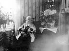 Hedda Blomquist (1833-1930). Gåva av Margit Vinge 1983. Foto: 1928?
Släthårig tax.