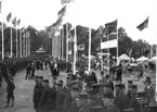 Skara. 
Kv Fornbyn / Organistgärdet, Lantbruksutställningen 1905.