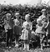 Margareta, Kajsa, Christina, Mats, Björn och Lisen, sommaren 1960.