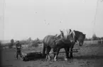 Lars Erikssons far, Erik Gustavsson, ringvältar på Heljesgården 1940-talet.