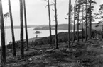 Stockholm, inloppet från Mälaren till Stockholm vid Ekerö.