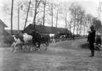 Dagsnäs.
Herrgård i Skara kommun, Västergötland (Västra Götalands län), känd sedan 1490-talet. Huvudbyggnaden av sten från 1770-talet fick sitt nuvarande utseende hundra år senare efter Helgo Zettervalls ritningar. Herrgården köptes 1762 av Pehr Tham, inom vars släkt den kvarblev till 1864. 
Dagsnäs blev byggnadsminne 1980.
Information hämtad i NE:http://www.ne.se/jsp/search/article.jsp?i_art_id=149562