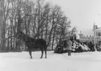 Dagsnäs.
Herrgård i Skara kommun, Västergötland, känd sedan 1490-talet. 
Huvudbyggnaden av sten från 1770-talet fick sitt nuvarande utseende hundra år senare efter Helgo Zettervalls ritningar. Herrgården köptes 1762 av Pehr Tham, inom vars släkt den kvarblev till 1864. 
Dagsnäs blev byggnadsminne 1980.