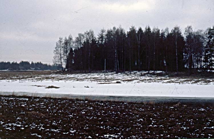 1M16-D31964