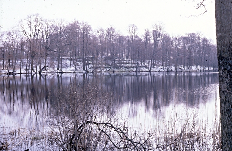 Trädgårdssjön.