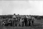 Höskörd på herrgården i Forsvik år 1930.