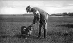 Trängkåren. Utbildning i sjukvård på Axevalla Hed omkr år 1915. Sanitetshund. Neg finns.