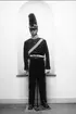 Uniform artilleriförband m/1815.