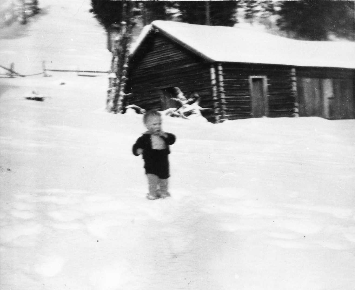 Barn, sæterhus. 