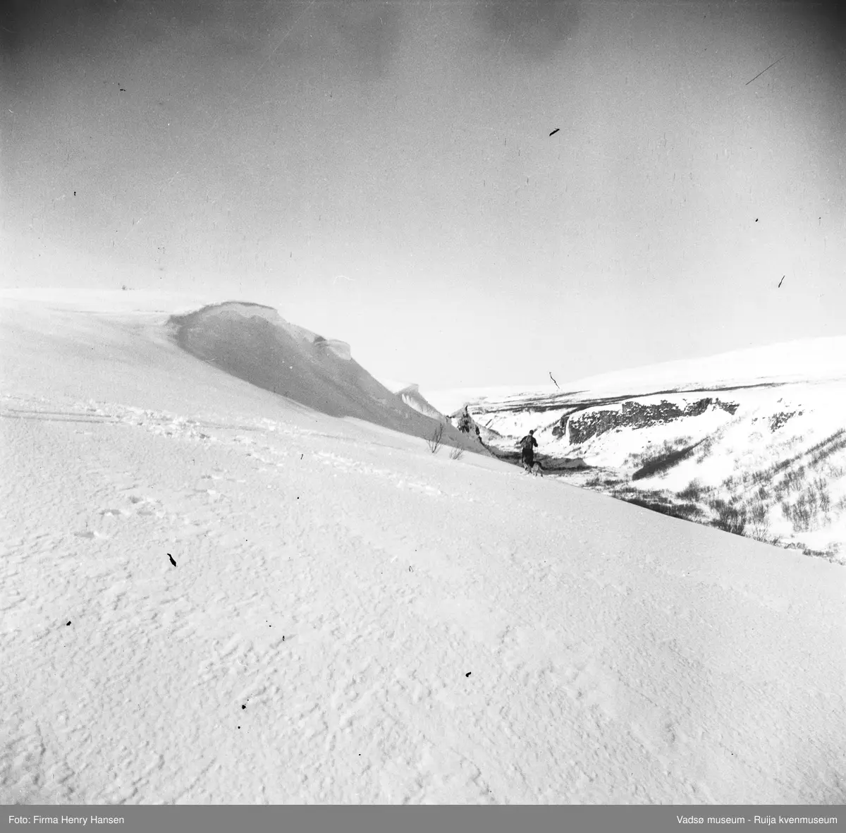 Vinterbilde fra Tomaselvdalen, tatt mot syd. Våren 1949.