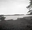 Hamnen med timmerstaplar vid Dagsbo gård.