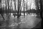 Översvämning i Boulognerskogen (Stadsträdgården) i Gävle, eventuellt år 1916.