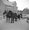 Körkarl Walhman. Plogning med hästar i Bomhus på 1950 talet.