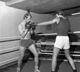 BK Falken boxare. Augusti 1974