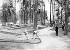 Minigolfbana i Boulognerskogen Gävle