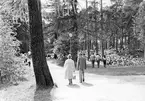 Festival i Boulognerskogen Gävle