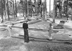 Minigolfbana i Boulognerskogen Gävle