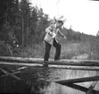 Löjtnat, Vicklund och Wickberg.