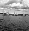Segling start vid Houken, våren 1938