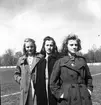 Skolungdomarnas olympiad. 1942

Flickgruppen till 