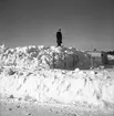 Snövallar på travbanan.

Februari 1942