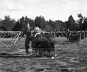 Kamratfäst vid I 14. 1942