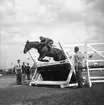 Ryttartävlingar. 1946