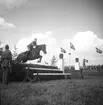 Ryttartävlingar. 1946