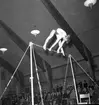 Gävle Gymnastikförenings 10-års jubileum. 1946