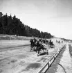 Jubileumsloppet travet. 11/5 1947.